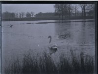 &copyTheCarterTribe.com 2013   Scanned from 1/4 plate (4" x 3") glass negative
