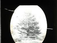 &copyTheCarterTribe.com 2013   Scanned from a 3.25" glass slide.