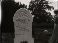 &copyTheCarterTribe.com 2013  Gravestone in Hillingdon Cemetary of James Stevens and Rachel Stevens (née Smith, wife of James) and Esther Hussey (née Smith), sister of Rachel. James and Rachel are the parents of Martha Tribe (née Stevens)   Scanned from 1/6 plate (2.5" x 3.5") plastic negative
