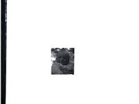 &copyTheCarterTribe.com 2013   Scanned from 1/4 plate (4" x 3")