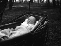 &copyTheCarterTribe.com 2013   Scanned from 1/4 plate (4" x 3") glass negative