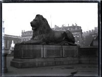 &copyTheCarterTribe.com 2013   Scanned from 1/4 plate (4" x 3") glass negative