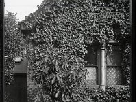 &copyTheCarterTribe.com 2013   Scanned from 1/4 plate (4" x 3") glass negative