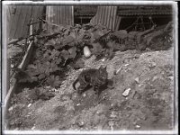 &copyTheCarterTribe.com 2013   Scanned from 1/4 plate (4" x 3") glass negative