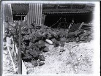 &copyTheCarterTribe.com 2013   Scanned from 1/4 plate (4" x 3") glass negative