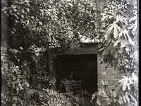 &copyTheCarterTribe.com 2013   Scanned from 1/2 plate (5" x 4") glass negative
