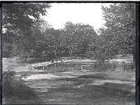 &copyTheCarterTribe.com 2013  Scio Pond, Putney Heath   Scanned from 1/4 plate (4" x 3") glass negative