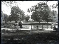 &copyTheCarterTribe.com 2013  Scio Pond, Putney Heath   Scanned from 1/4 plate (4" x 3") glass negative