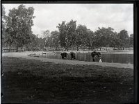 &copyTheCarterTribe.com 2013   Scanned from a 1/4 plate (4" x 3") glass negative