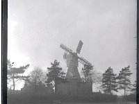 &copyTheCarterTribe.com 2013  The Windmill, Wimbledon Common   Scanned from 1/4 plate (4" x 3") glass negative