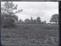 &copyTheCarterTribe.com 2013  The Windmill, Wimbledon Common   Scanned from 1/4 plate (4" x 3") glass negative