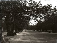 &copyTheCarterTribe.com 2013   Scanned from a 1/4 plate (4" x 3") glass negative