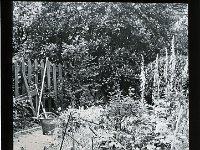 &copyTheCarterTribe.com 2013   Scanned from a 3.25" glass slide.