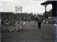 &copyTheCarterTribe.com 2013   Scanned from 1/4 plate (4" x 3") glass negative