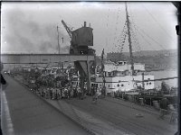&copyTheCarterTribe.com 2013  SS Biarritz, Folkestone   Scanned from 1/4 plate (4" x 3") glass negative